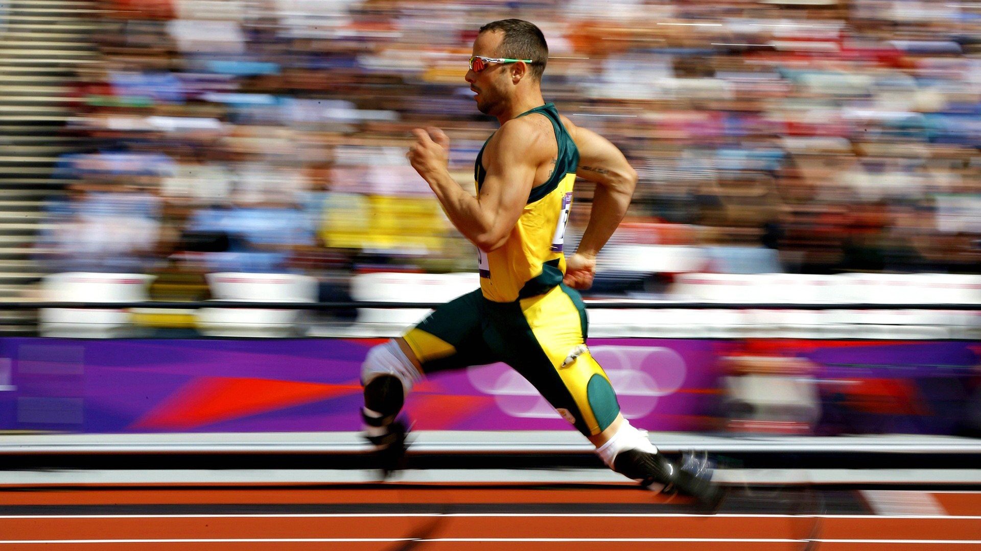 世界传统舞狮竞技，展现民族文化盛典